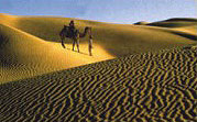 The Thar Desert - Rajasthan